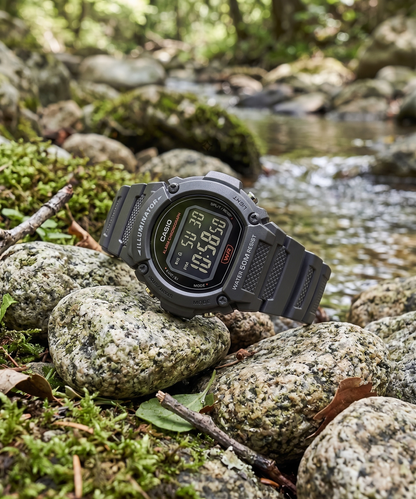 Casio W-219H-8BV